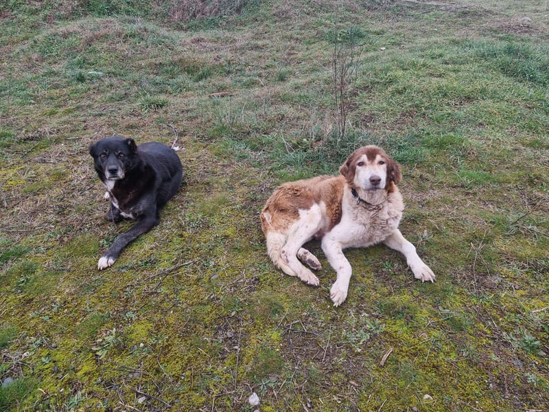 Hedi zeigt - Das Leben ist schön
