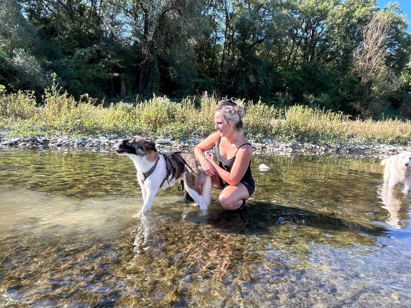 Eva - eine wunderschöne junge Hundedame sucht ihr Happy End