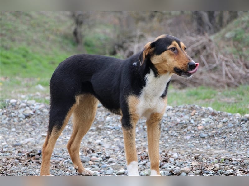 Tilda - ein kleines Energiebündel