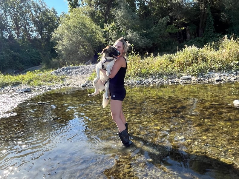 Eva - eine wunderschöne junge Hundedame sucht ihr Happy End