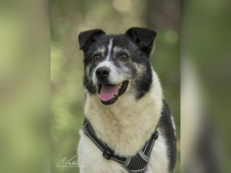 Golden Girl - lustig, entspannt und aufgeschlossen