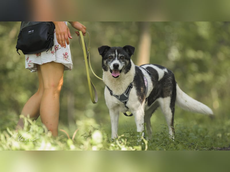 Golden Girl - lustig, entspannt und aufgeschlossen