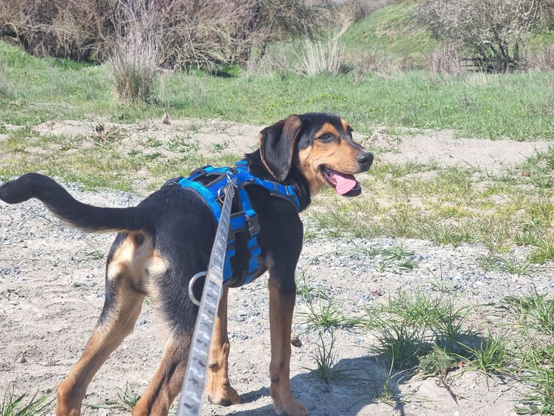 Cupcake – ein kleines Wunder mit großem Herzen