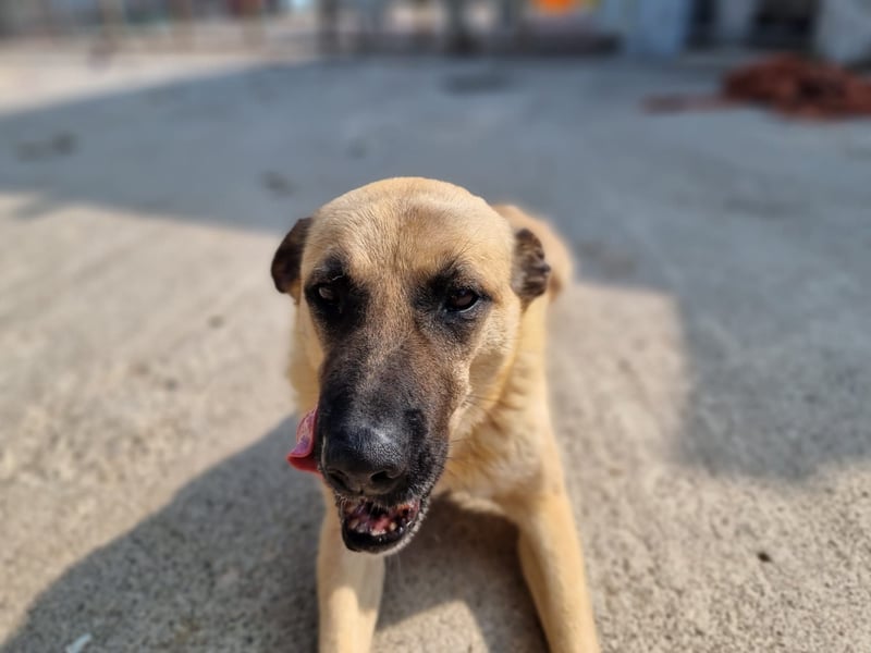 Nikon – Lebensfreude auf drei Beinchen