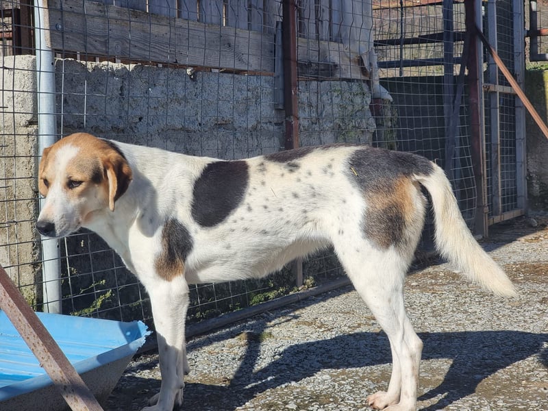 Olina unsere Kämpferin mit schweren Start ins Leben