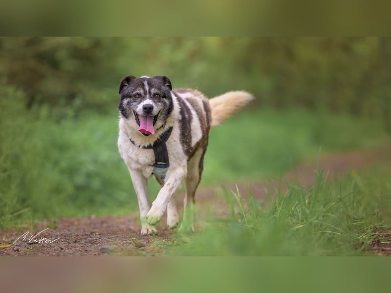 Golden Girl - lustig, entspannt und aufgeschlossen