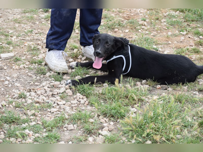 Der Kleinste der Brüder- doch mit der größten Hoffnung im Herzen