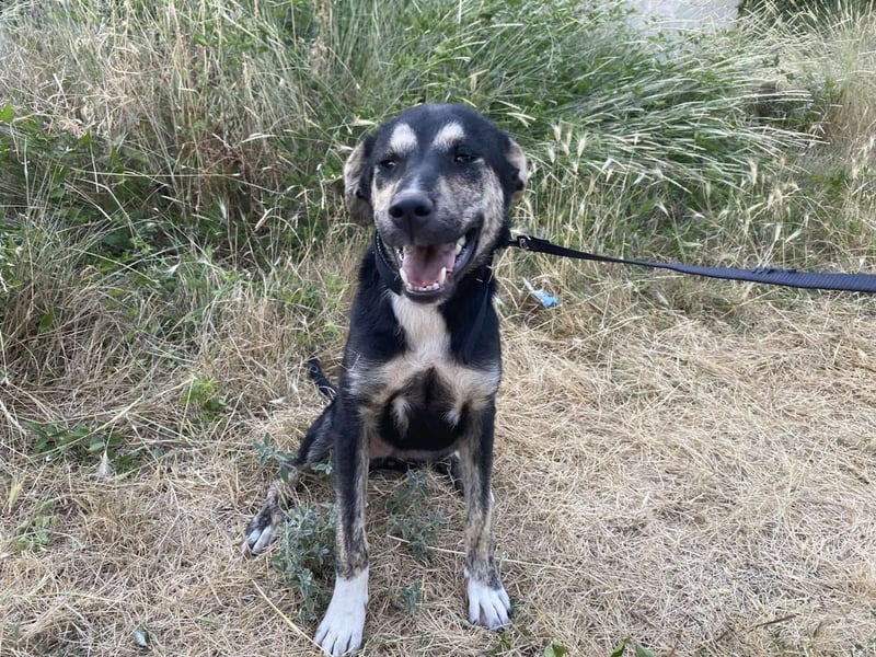 Hi, ich bin die clevere Sally!