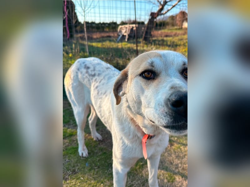 June - eine sanfte Seele auf der Suche nach ihrem Glück