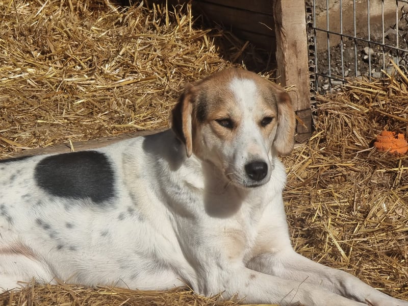 Olina unsere Kämpferin mit schweren Start ins Leben
