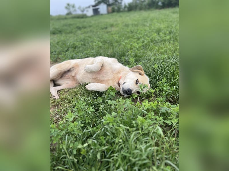 June - eine sanfte Seele auf der Suche nach ihrem Glück