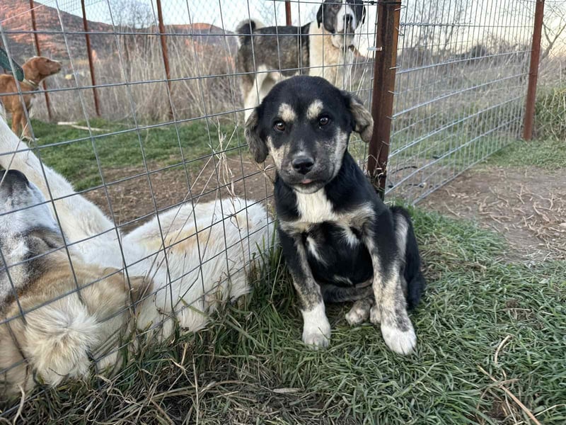 Hi, ich bin die clevere Sally!