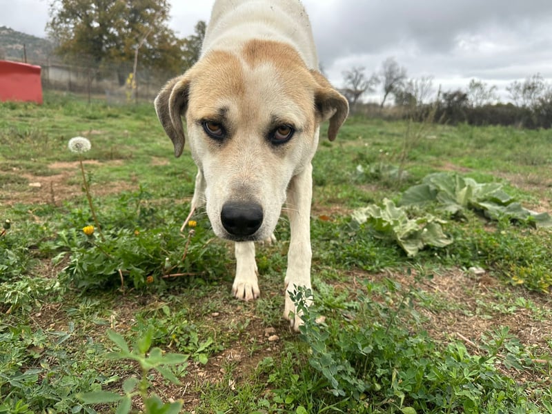 June - eine sanfte Seele auf der Suche nach ihrem Glück