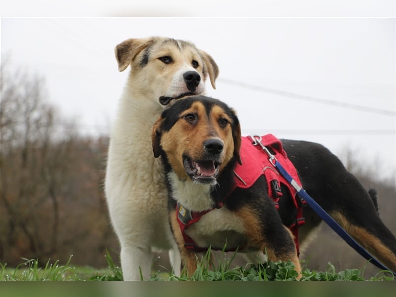 Tilda - ein kleines Energiebündel