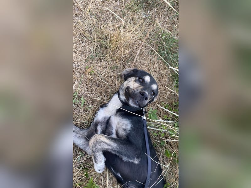 Hi, ich bin die clevere Sally!