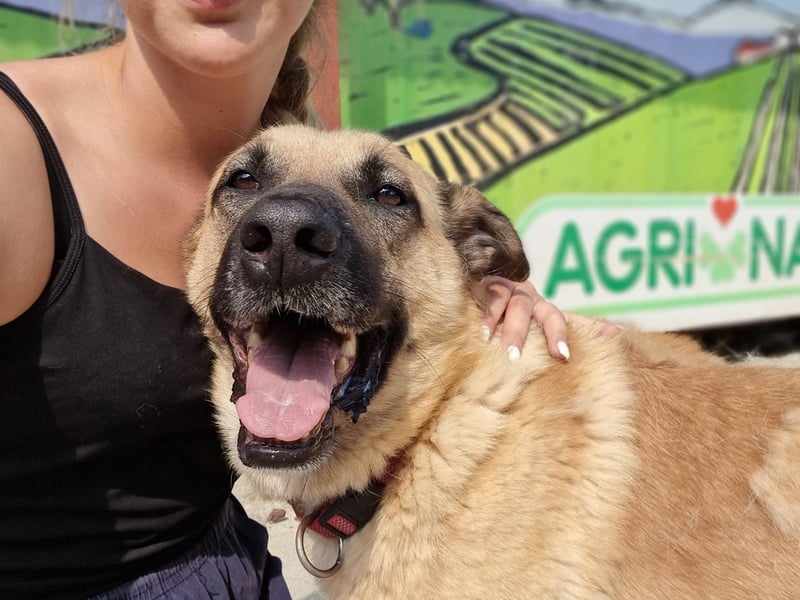 Nikon – Lebensfreude auf drei Beinchen