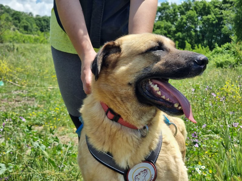 Nikon – Lebensfreude auf drei Beinchen