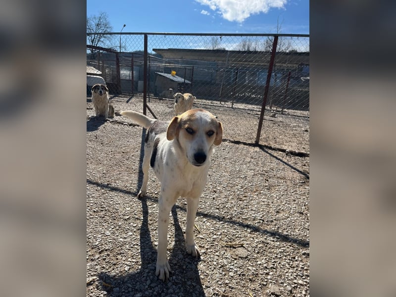 Olina unsere Kämpferin mit schweren Start ins Leben