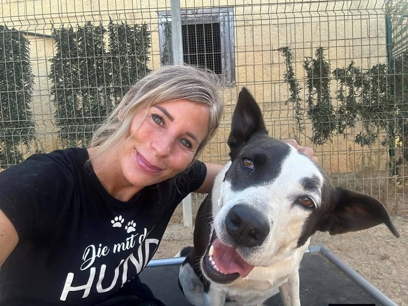 Oca – treue Schmusehündin mit großem Herzen