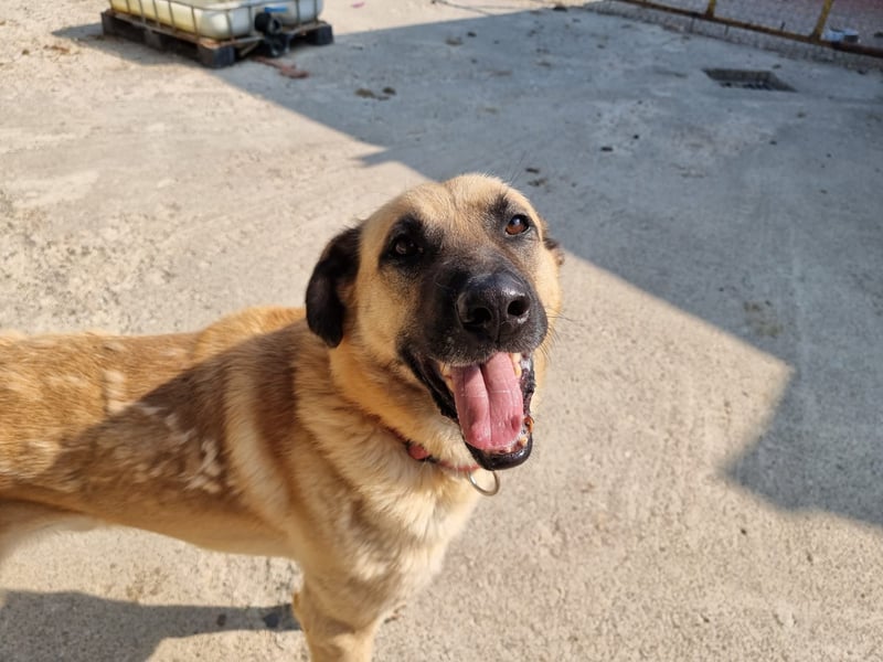 Nikon – Lebensfreude auf drei Beinchen