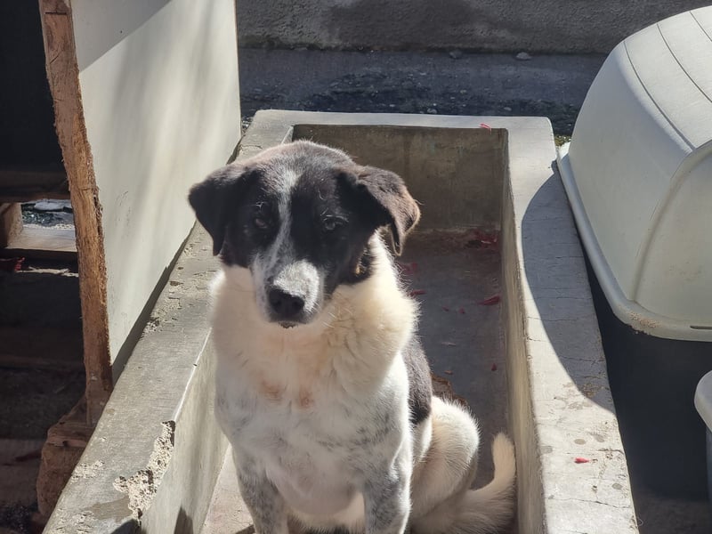 Klara möchte endlich ankommen