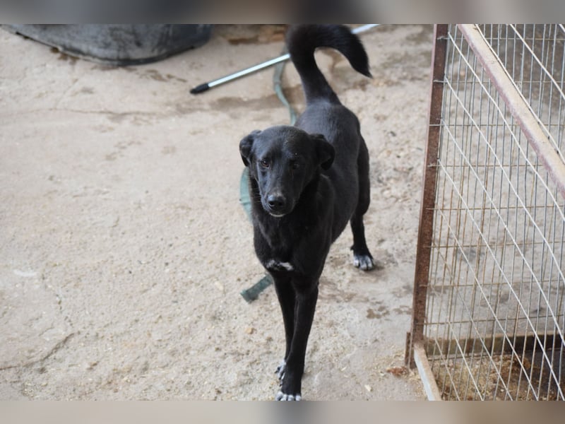 Der Kleinste der Brüder- doch mit der größten Hoffnung im Herzen