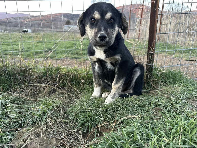 Hi, ich bin die clevere Sally!