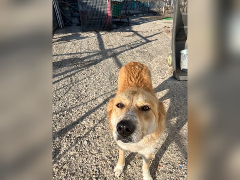 Blanca – sanfte Beobachterin mit großem Herz