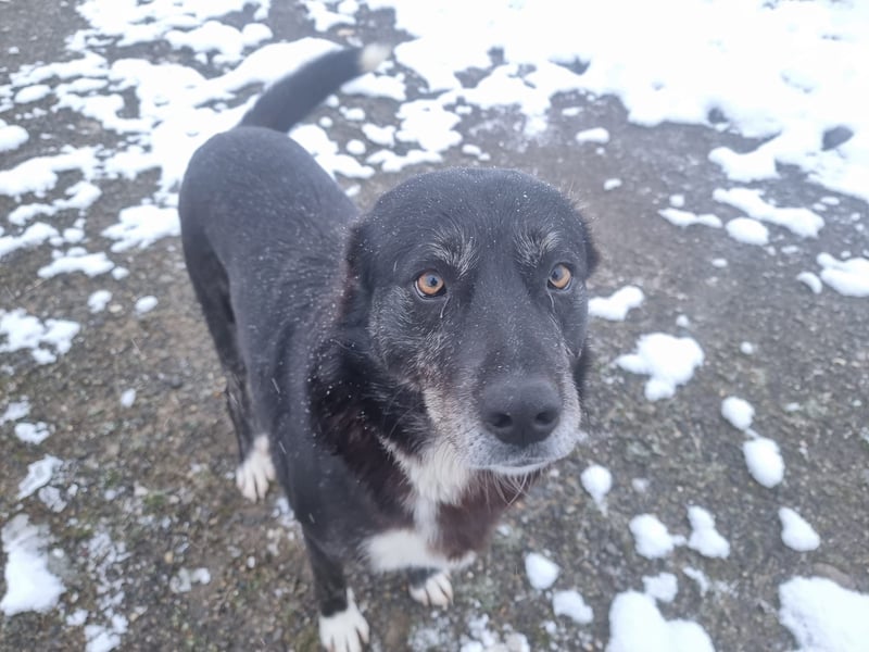 Hedi zeigt - Das Leben ist schön