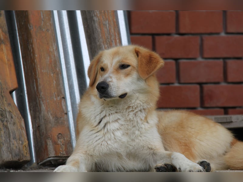 Blanca – sanfte Beobachterin mit großem Herz