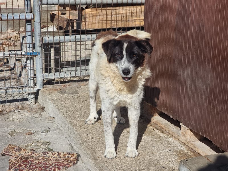 Klara möchte endlich ankommen