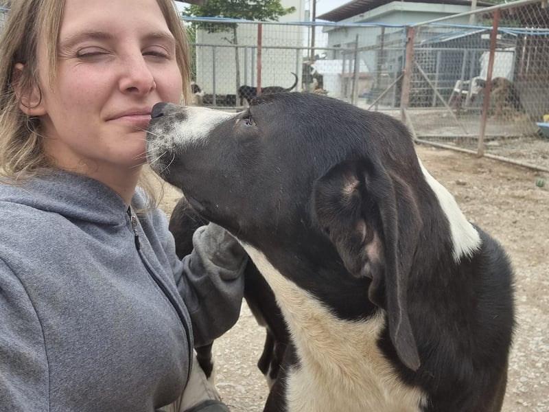 Neues Zuhause für Quinn - Ein Abenteuer wartet!