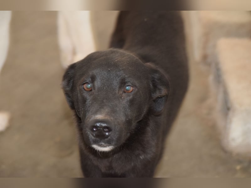 Der Kleinste der Brüder- doch mit der größten Hoffnung im Herzen