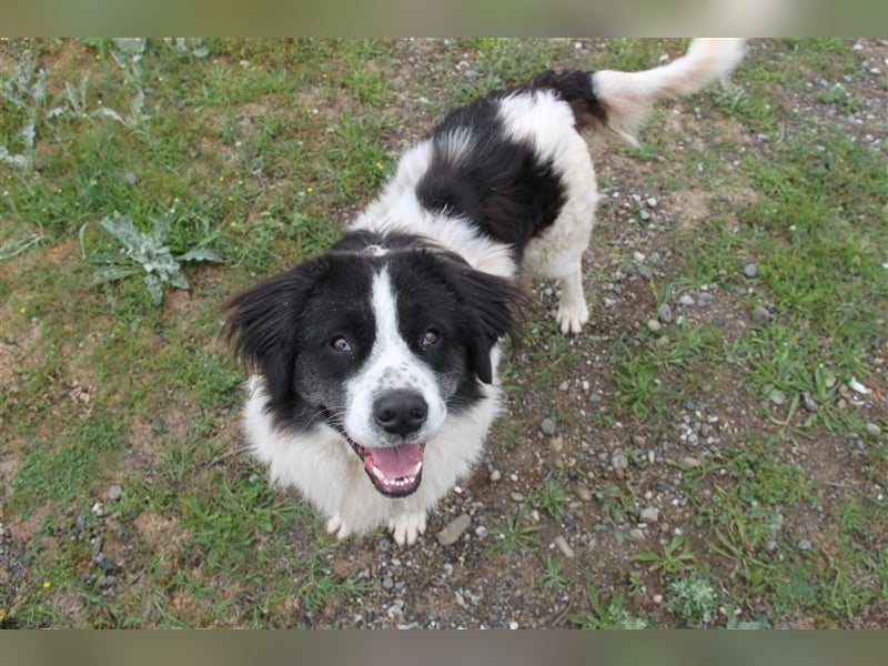 Hugo - Herzbube ist Trumpf