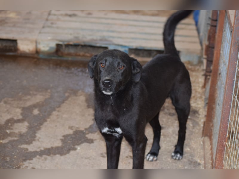 Der Kleinste der Brüder- doch mit der größten Hoffnung im Herzen