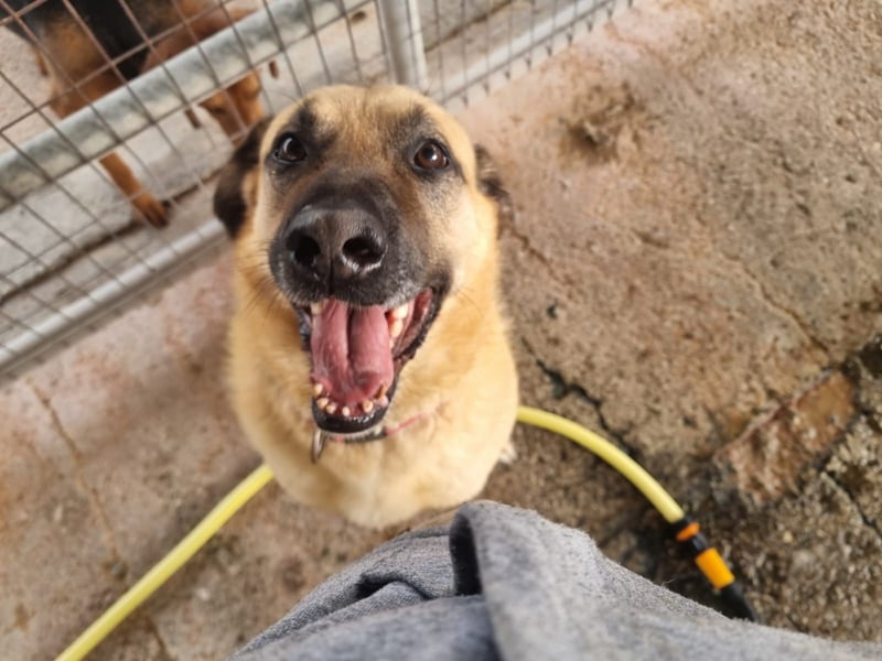 Nikon – Lebensfreude auf drei Beinchen