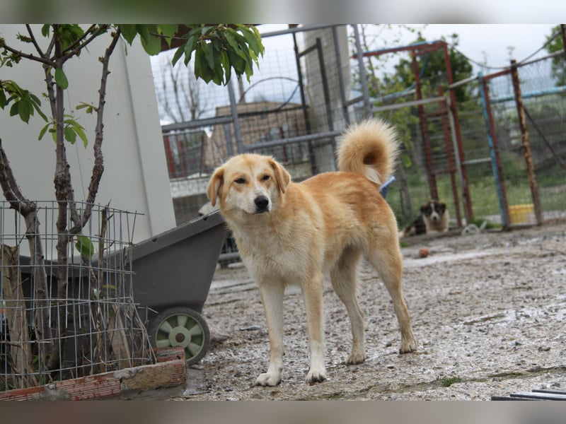 Blanca – sanfte Beobachterin mit großem Herz