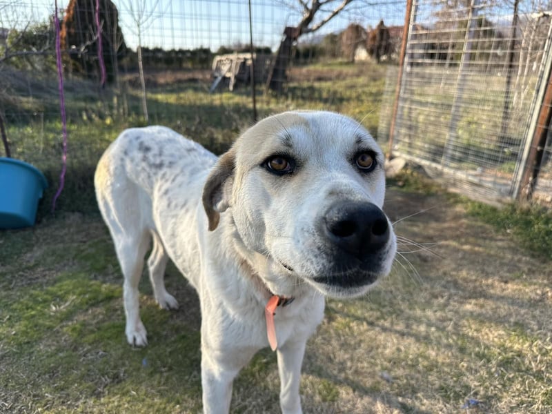 June - eine sanfte Seele auf der Suche nach ihrem Glück