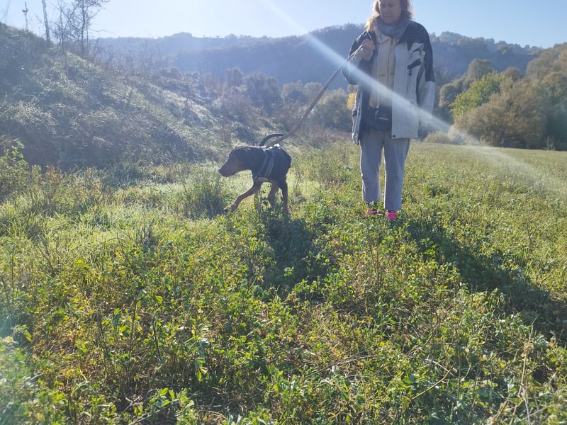 Carlo - ein sanftes Herz sucht sein Glück