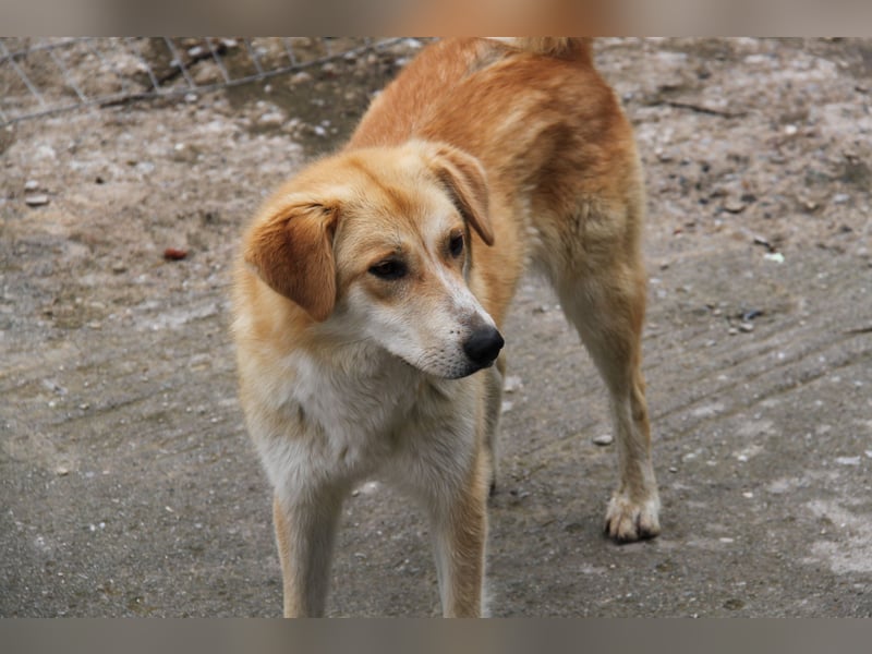 Blanca – sanfte Beobachterin mit großem Herz