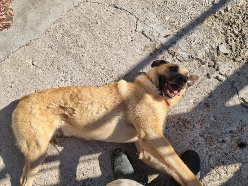 Nikon – Lebensfreude auf drei Beinchen