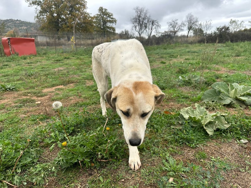 June - eine sanfte Seele auf der Suche nach ihrem Glück