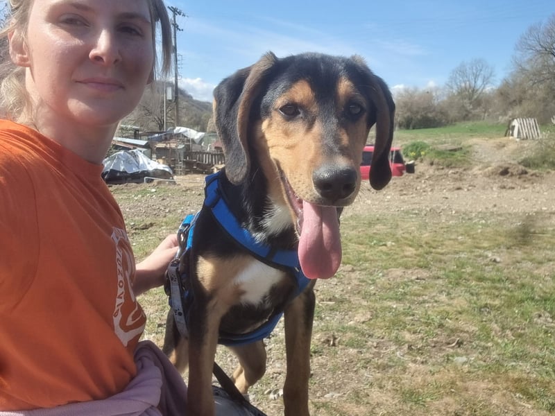 Cupcake – ein kleines Wunder mit großem Herzen