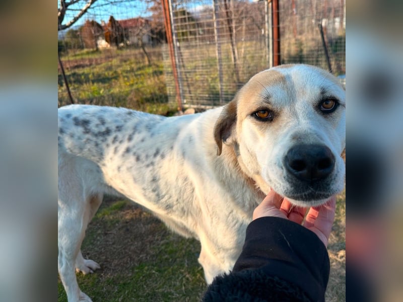 June - eine sanfte Seele auf der Suche nach ihrem Glück