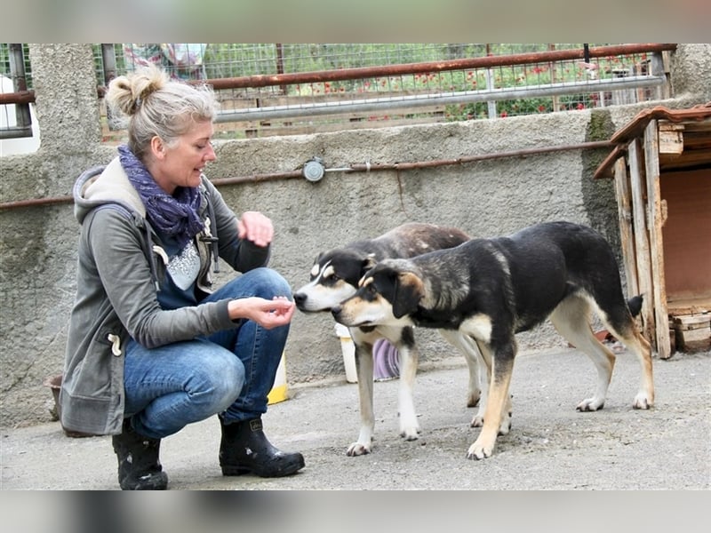 Lola - Alle gute Dinge sind DREI + 1