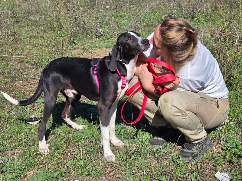 Neues Zuhause für Quinn - Ein Abenteuer wartet!
