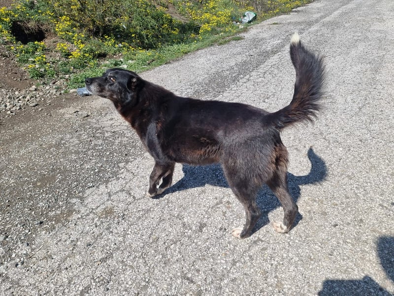 Hedi zeigt - Das Leben ist schön