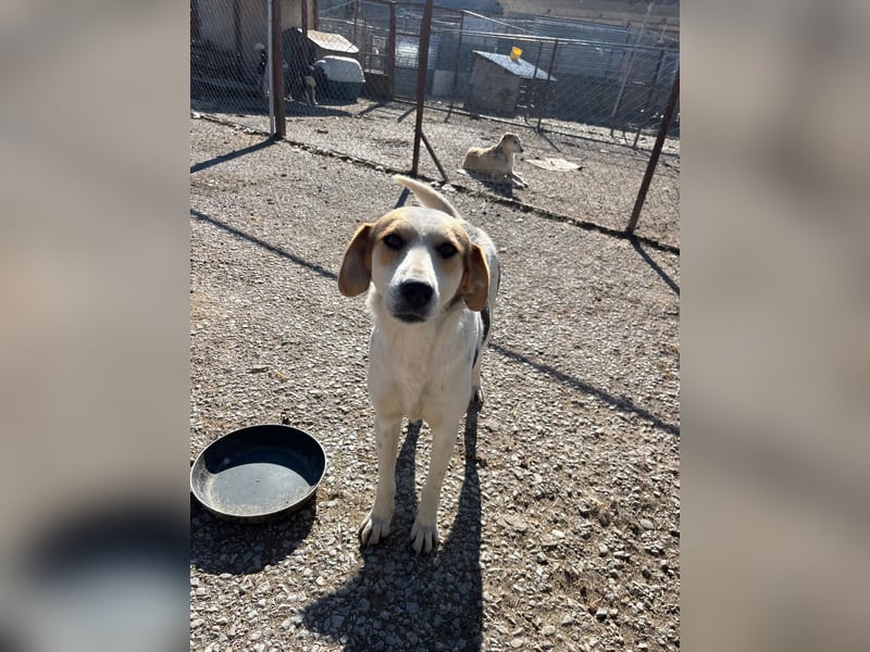 Olina unsere Kämpferin mit schweren Start ins Leben