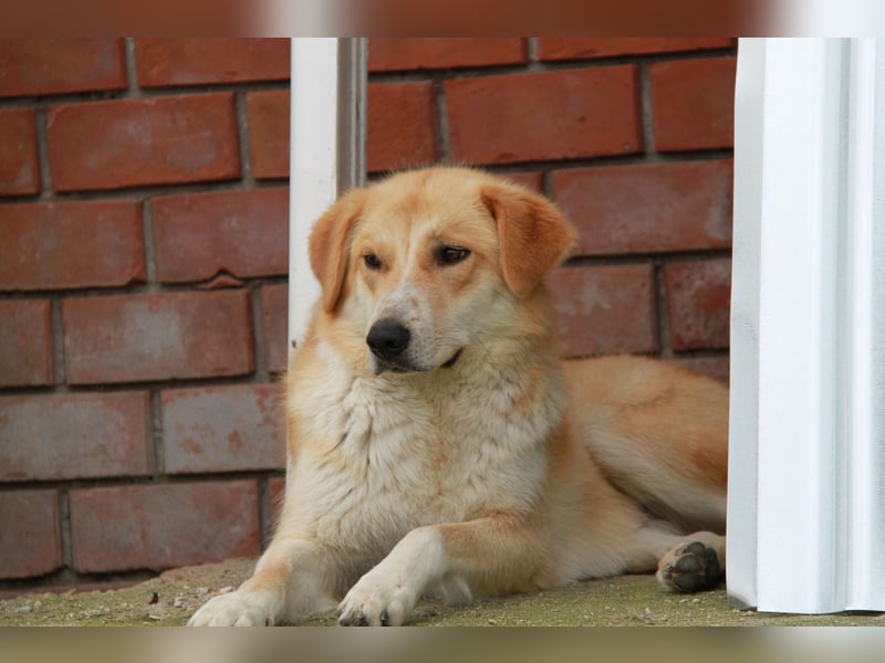 Blanca – sanfte Beobachterin mit großem Herz