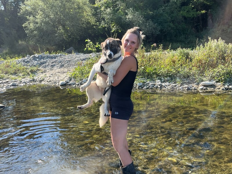 Eva - eine wunderschöne junge Hundedame sucht ihr Happy End